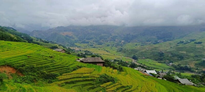 From Sapa Visit Lao Chai/Ta Van/Giang Ta Chai Sleep Homestay - Overview of the Tour Experience