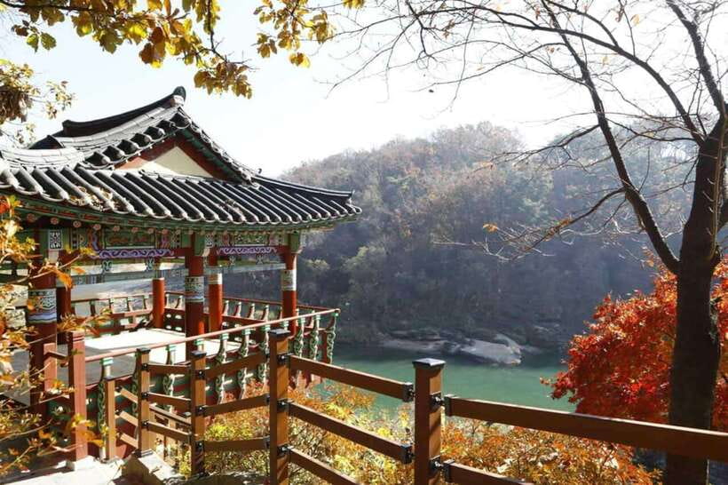 From Seoul: Demilitarized Zone & 2nd Tunnel One Day Tour - What to Expect on the Day