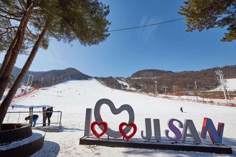 From Seoul: Korea Ski Tour - Jisan Forest Resort - Who Should Consider This Tour?