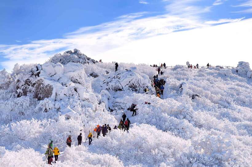 From Seoul: Snow-Capped Beauty of Deogyusan National Park - The Cable Car Experience