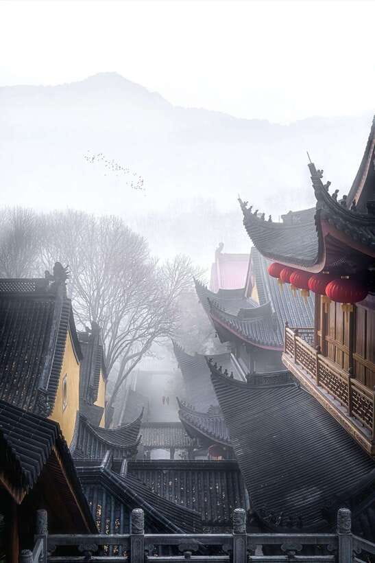 From Shanghai:Hangzhou Temple Zen and Longjing Tea ceremony - Exploring Lingyin Temple and Feilai Peak