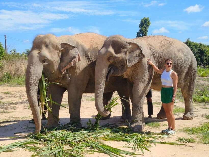 From Siem Reap: Elephant Sanctuary Experience with Transfers - The Value of This Experience