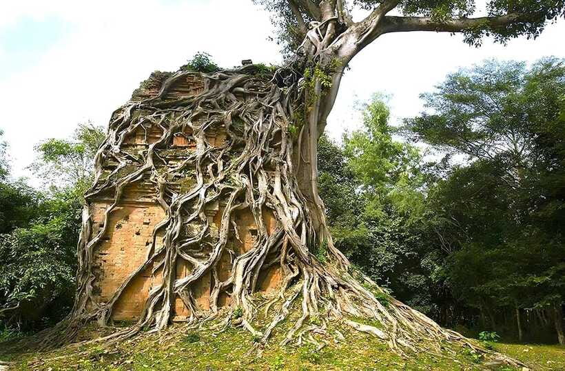 From Siem Reap: Sambor Prei Kuk and Kompong Kdei Day Trip - Why This Tour Offers Great Value