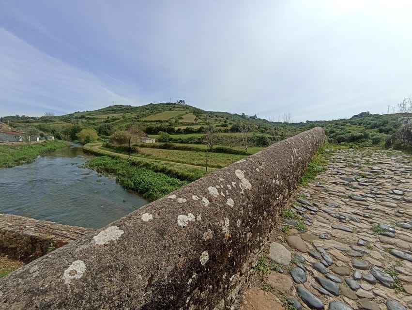 From Sintra, Mafra, or Ericeira: Hike and Wine Tour - Why This Tour Is Worth Considering