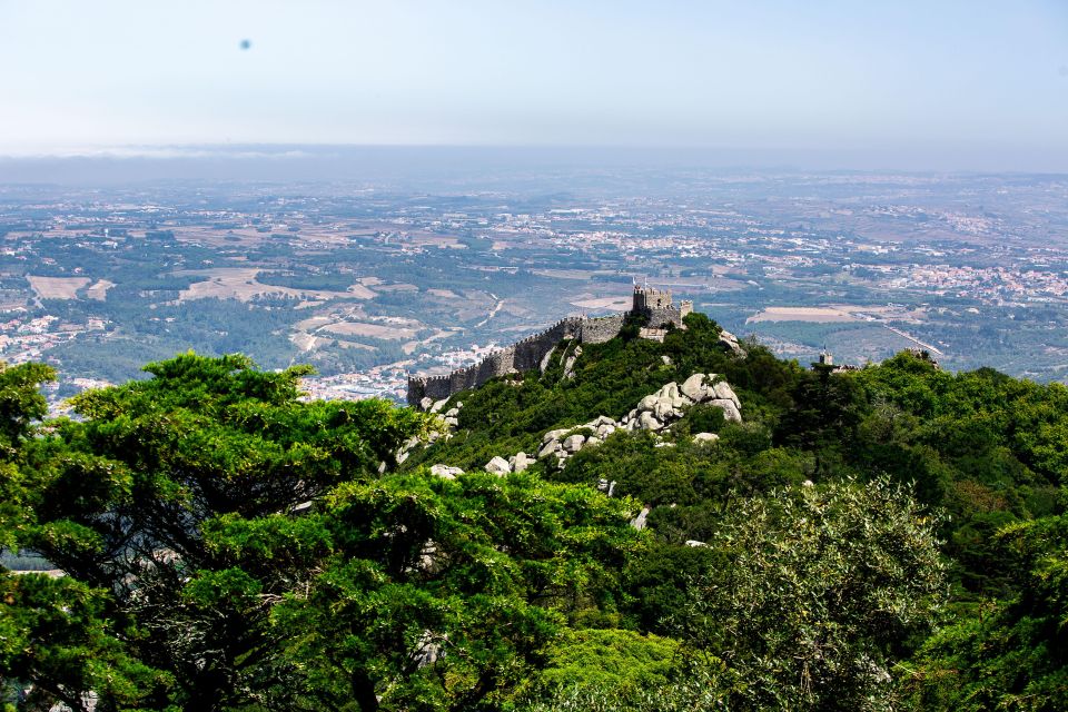 From Sintra: Pena Palace Guided Tour - Authentic Feedback from Travelers