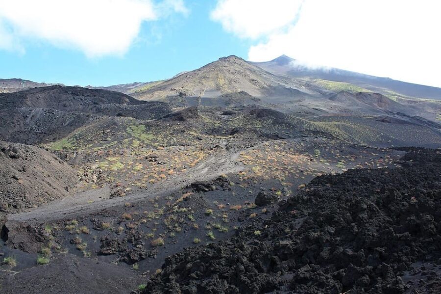 From Siracusa Day Tour To Etna Volcano, Winery and Taormina - Visiting the Etna Vineyards and Wine Tasting