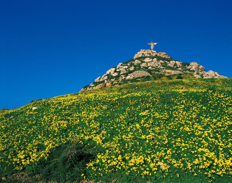 From Sliema or Bugibba: Gozo Heritage Day Pass - Summing Up: The Value and Suitability