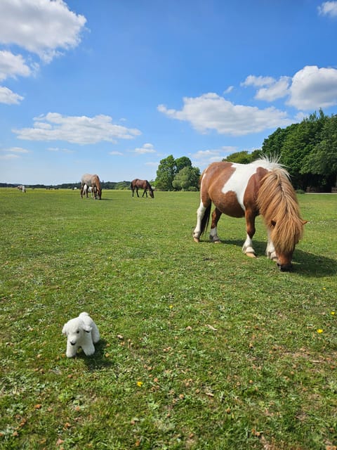 From Southampton: New Forest and Salisbury Private Tour - Who Will Love This Tour?