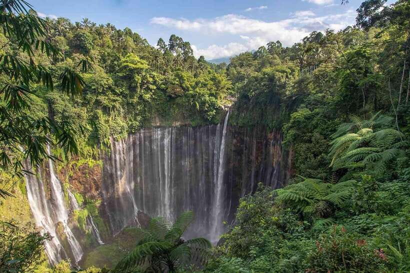 From Surabaya: 3-Day Bromo & Ijen Tour with Bali Transfer - Who This Tour Is Best For
