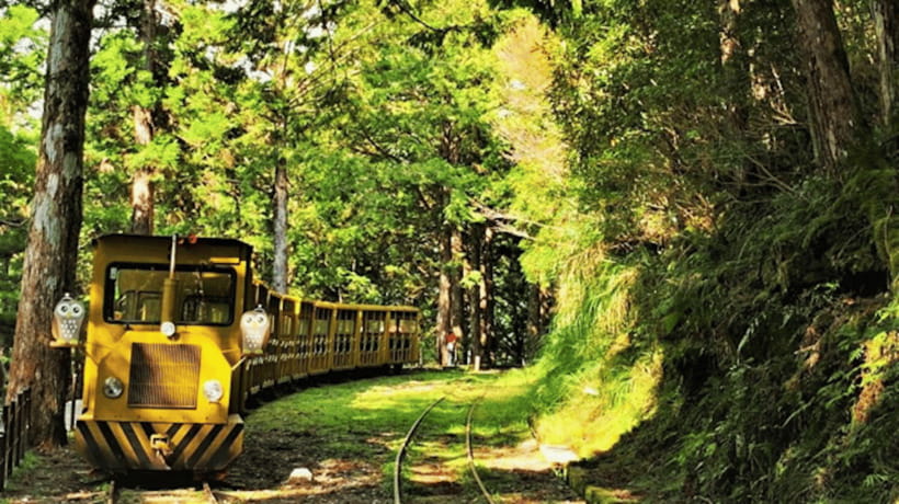 From Taipei: Taipingshan National Forest Private Day Tour - Why Choose This Tour?