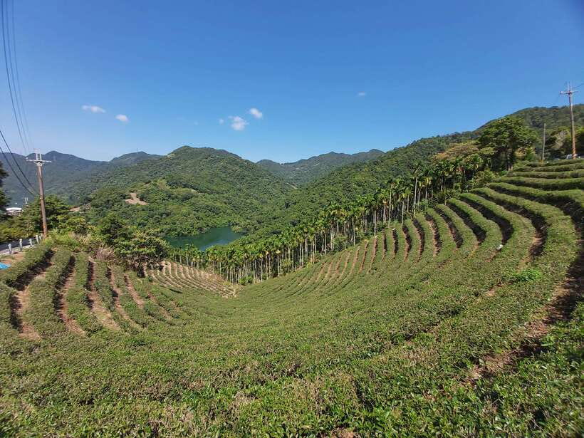 From Taipei: Thousand Island Lake and Pinglin Tea Plantation - What Makes This Tour Stand Out?