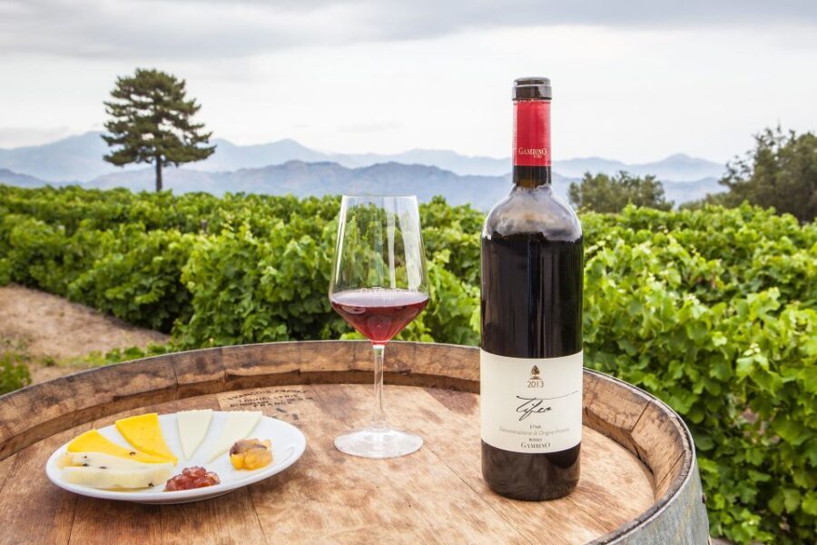 From Taormina: Private 3 Etna Wineries with Food & Wine - The Value of a Guided, Private Tour