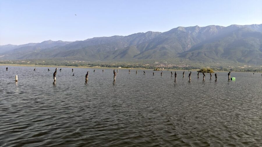 From Thessaloniki: Lake Kerkini, Boat Ride & Winery Day Tour - Who Would Enjoy This Tour?