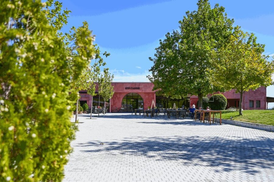 From Thessaloniki: Pella-Edessa-Naousa wine tasting - Edessa: The City of Water and Natural Wonders
