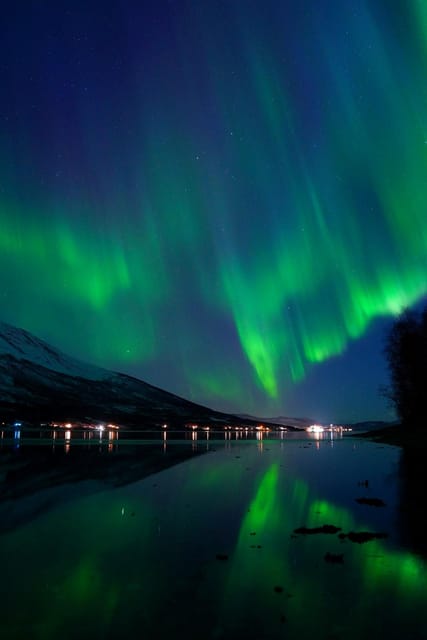From Tromsø: Aurora Bus Tour with Snacks, Photos, and Drinks - Who Should Consider This Tour?