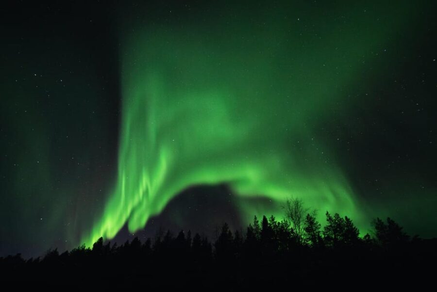 From Tromsø: Aurora Snowshoe Hike - What To Expect: A Step-by-Step Breakdown