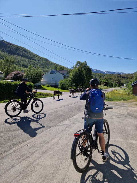 From Tromsø: Fjord Sightseeing With E-Bike - The Highlights of Kvaløya