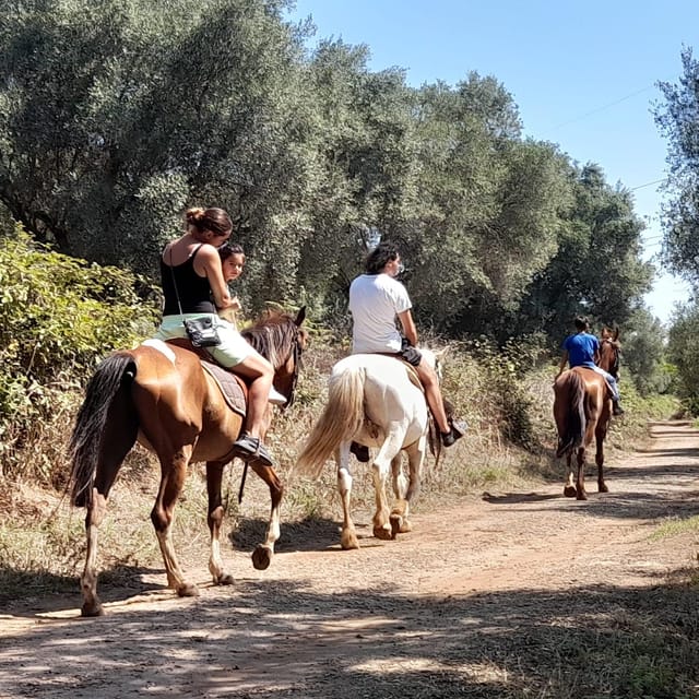 From Tropea: Horseback Riding Tour With Picnic in Francica - Final Words
