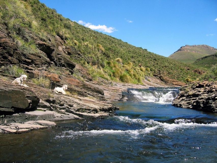 From Underberg: 4x4 Sani Pass Day Trip - A Deep Dive into the Sani Pass Experience