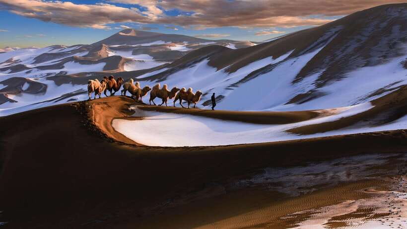 From Urumqi: 7-Day Silk Road Tour with Kashgar and Turpan - Practical Insights and What You’ll Love