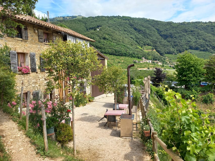 From Venice and Treviso: Prosecco Hills Wine and Food Tour - What’s Included and What to Expect