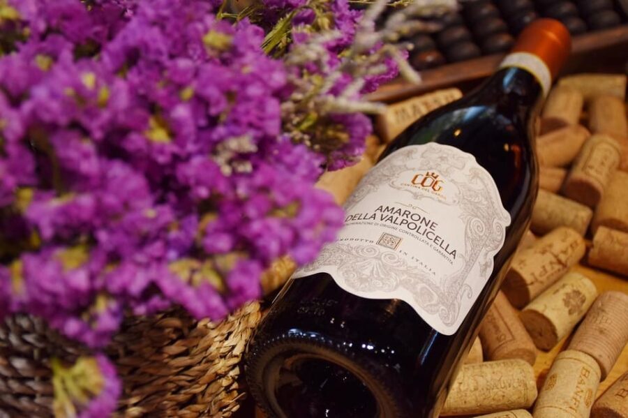 From Venice: day trip to Amarone and Prosecco wine regions - Is It Worth the Price?
