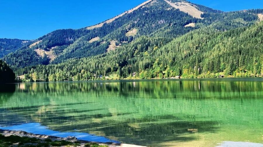 From Vienna: Private tour to Mariazell - Analyzing the Value
