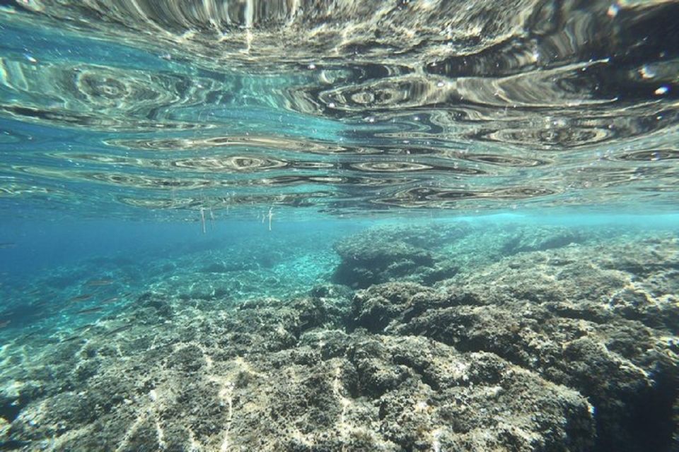 From Zadar: Half/Full Day Sailing Tour - A Detailed Look at the Zadar Sailing Tour