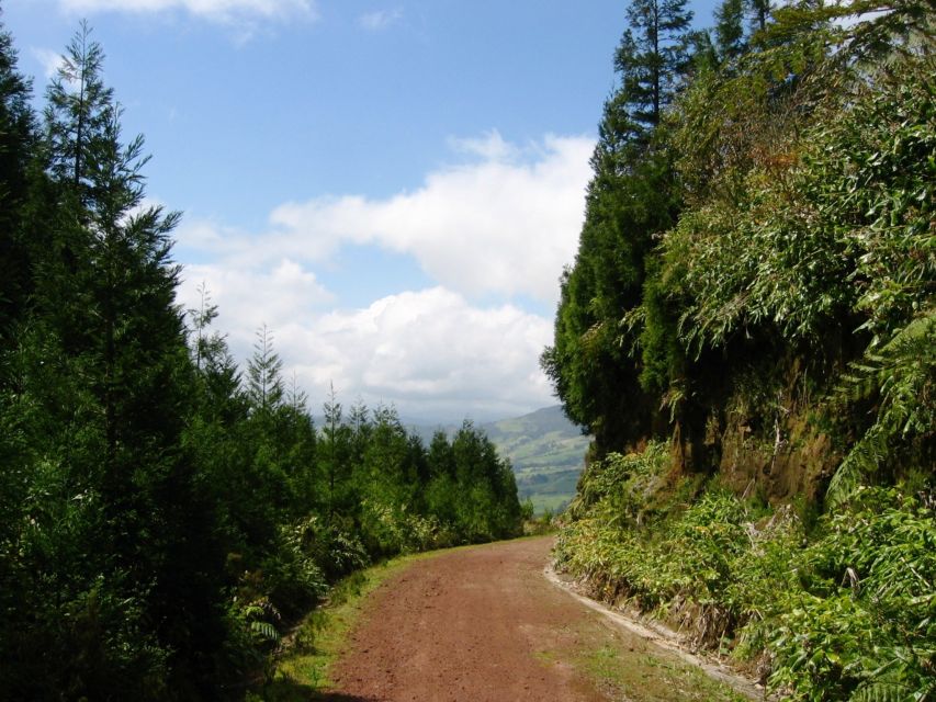 Full-Day 4x4 Nordeste Azores Tour from Ponta Delgada - Why the Guides Matter