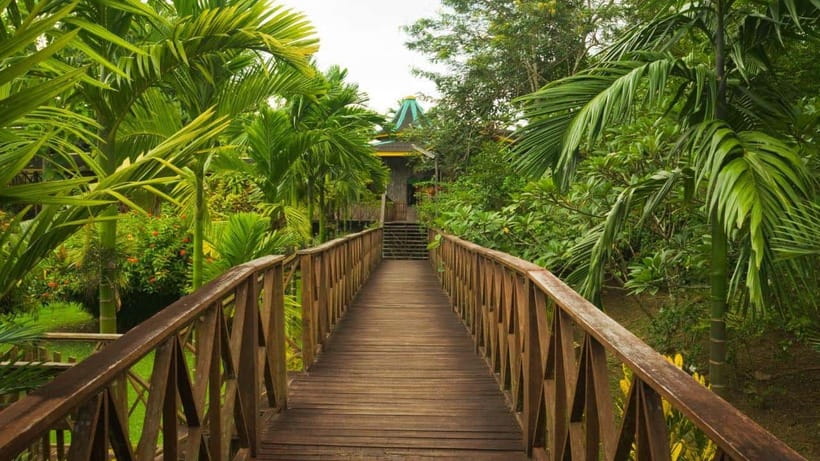 Full Day At Sepilok Orangutan, Sun Bear & Sandakan City Tour - How the Day Unfolds