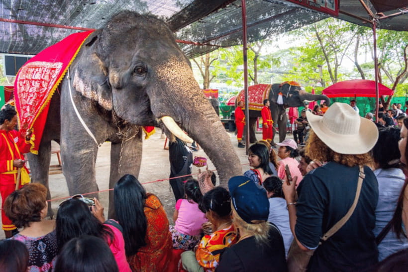 Full Day : Bangkok-Ayutthaya UNESCO World Heritage Site - Booking Information