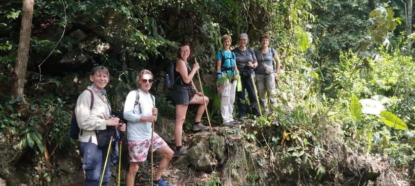 Full Day Hike - Climbing in Jungle of Cat Ba National Park - Exploring Cat Ba National Park