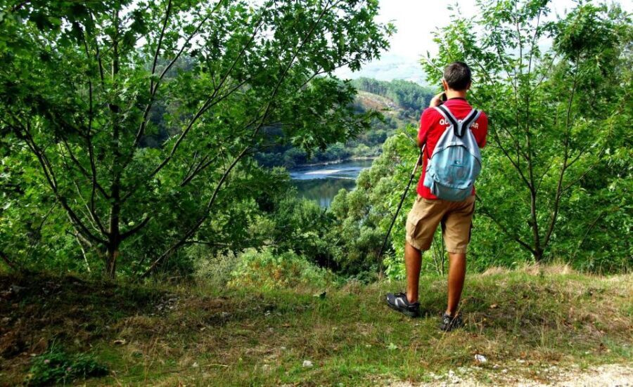 Full Day Tour in Peneda Gerês National Park - An In-Depth Look at the Tour Experience