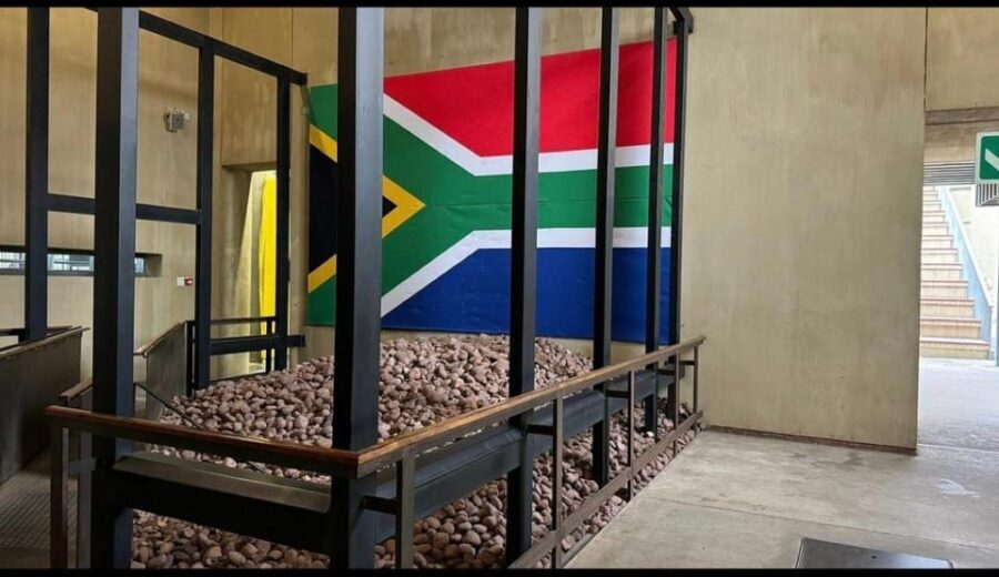 Full-Day Tour of Soweto, Johannesburg, and Apartheid Museum - What Travelers Say
