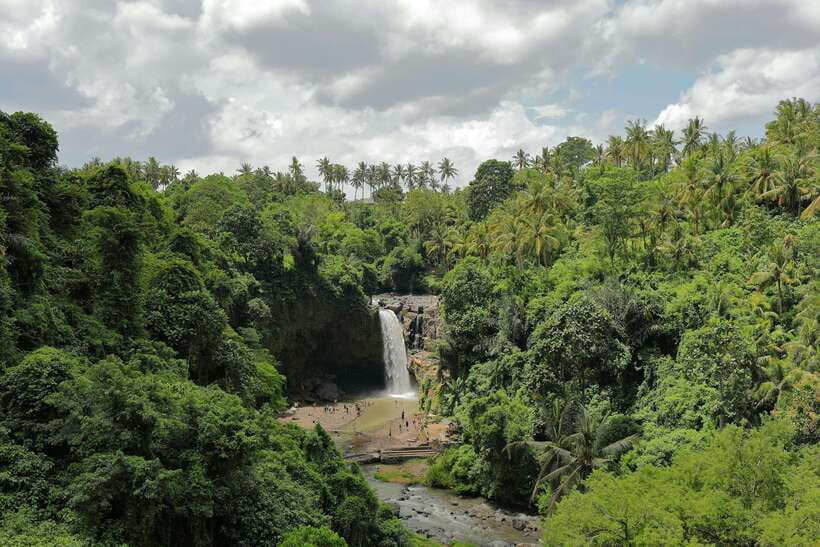 Full Day Tour To Explore Ubud with Private Car - What to Expect on This Tour