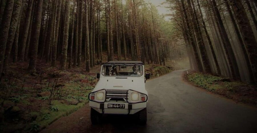 Funchal: 4x4 Jeep Trip to the East and Northeast of Madeira - Authentic Experiences and Real Value