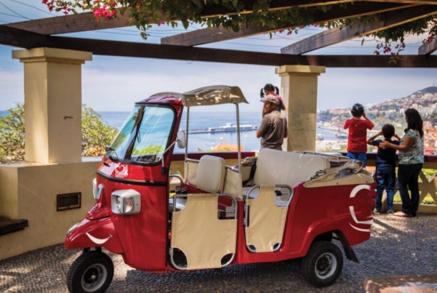 Funchal: Best Viewpoints Guided Tuk Tuk Tour - The Sum Up