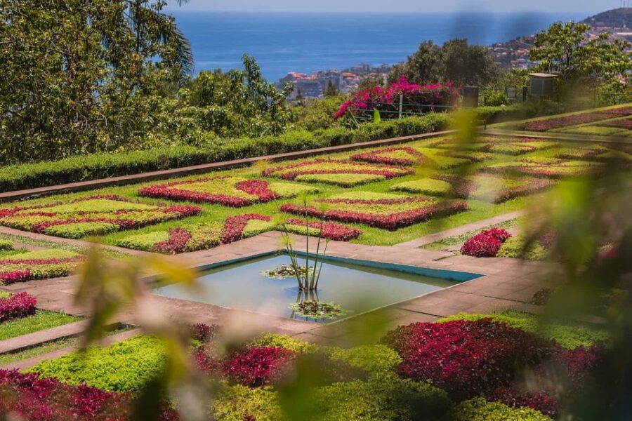 Funchal: Botanical Garden and Old Town Private Tuk-Tuk Tour - Why This Tour Is a Great Value