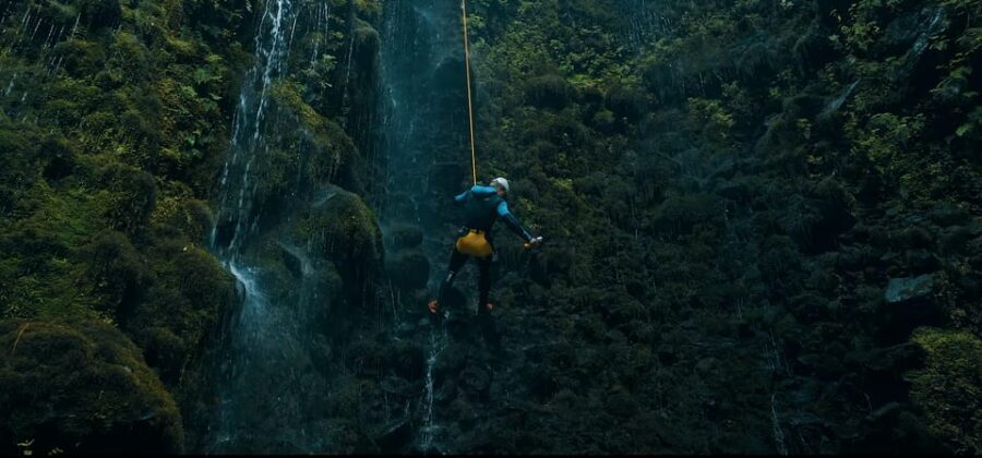 Funchal: Half-Day Beginner-Friendly Canyoning Experience - Why This Tour Is a Great Value