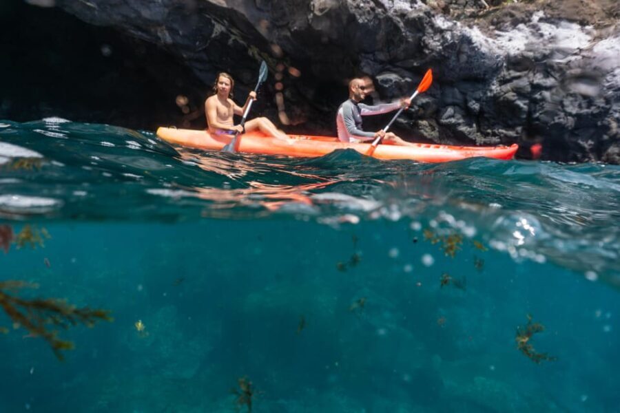 Funchal: KAYAK Rental or Guided tour with snorkeling - Whats Included and Whats Not