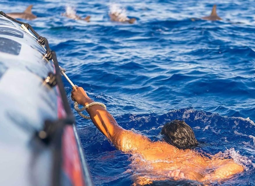 Funchal: Whale Watching and Swimming with Dolphins Cruise - FAQs