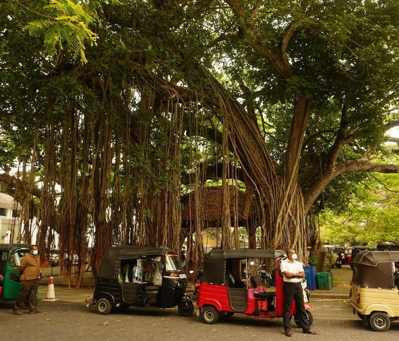 Galle: Fort Walking Tour with Local Guide + Lunch - How Well Does It Meet Expectations?