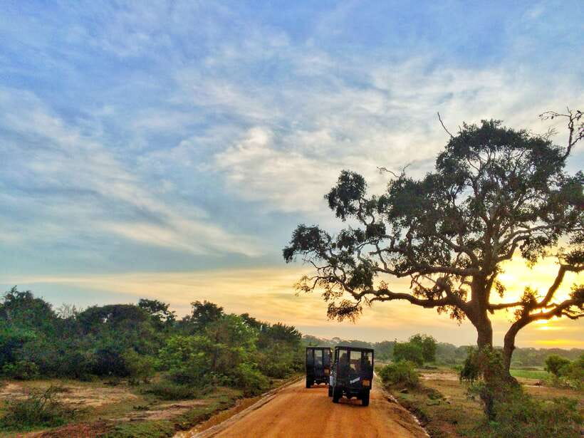 Galle or Mirissa: Private Yala Safari with Lunch at Campsite - Transportation & Comfort