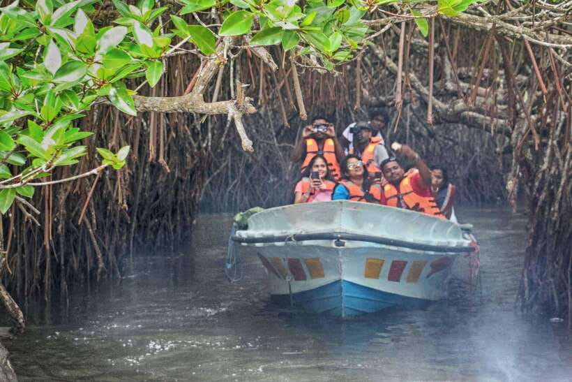 Galle Sea Turtles visit & Day Tour From: Hambantota Port - The Value of This Tour