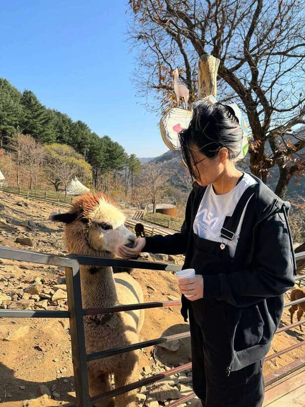 Gangwon 2D1N Trip: Chuncheon-Hongcheon with Accommodation - Sampling Authentic Flavors at Hongcheon Market
