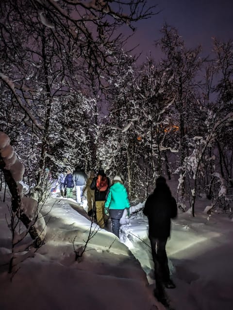 Geilo: Evening family tour with sledge, campfire and fun! - Why This Tour Stands Out  