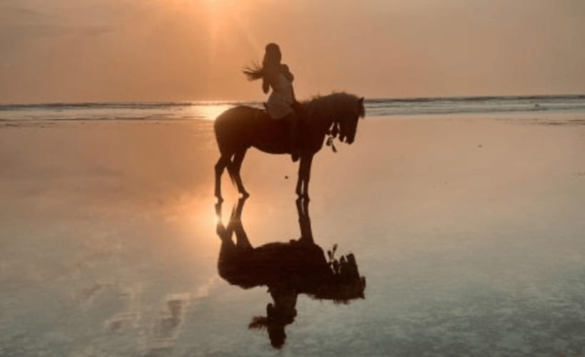 Gili Air: 1 Hour Horseback Riding With hotel Transfer - Key Points