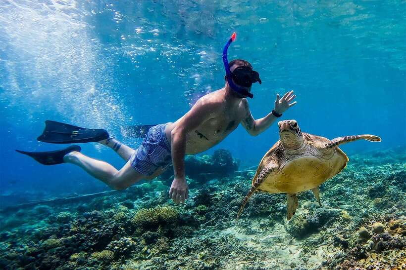 Gili Islands Lombok: 4 Hour Private Group Snorkeling Trip - Exploring the Itinerary: What You Can Expect