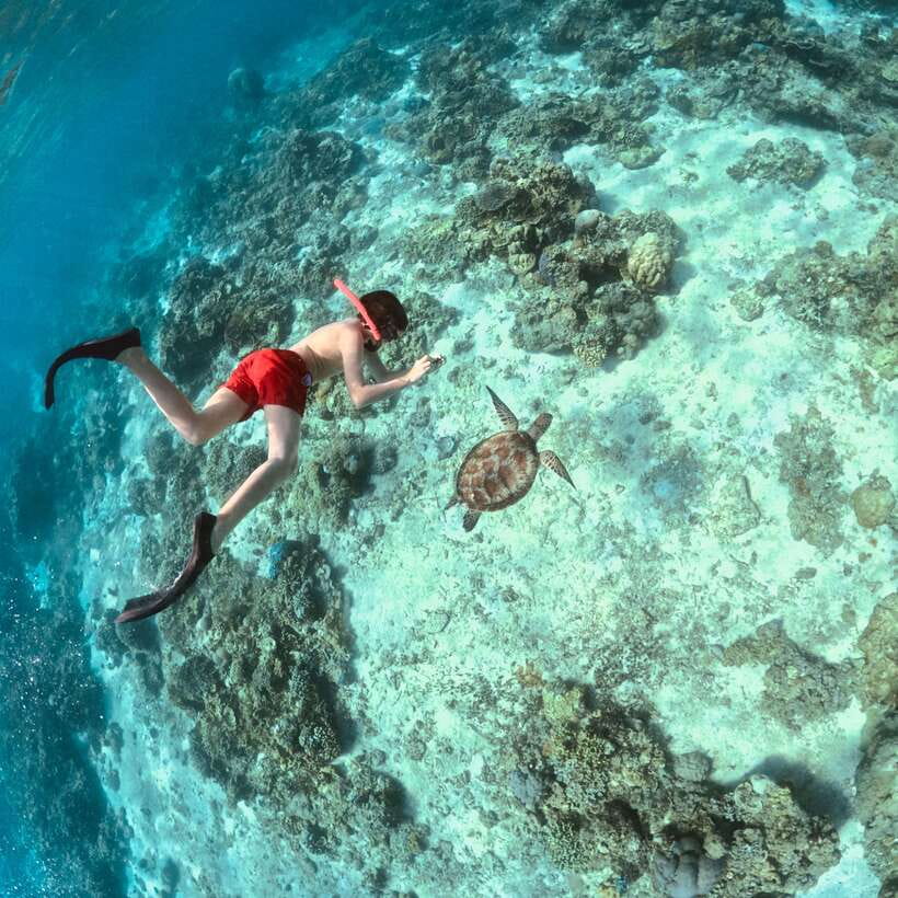 Gili Islands: Private or Shared Snorkeling Boat Trip - The Experience in Detail