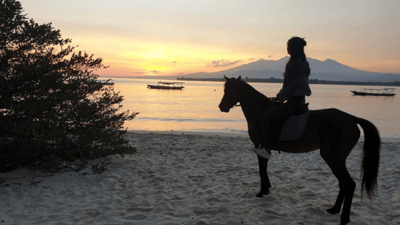 Gili Meno: 1-Hour Horse Riding Adventure - A Thorough Look at the Itinerary